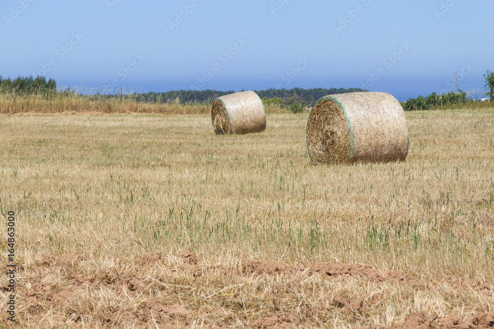 Hay pile in a farm field in Porto Covo