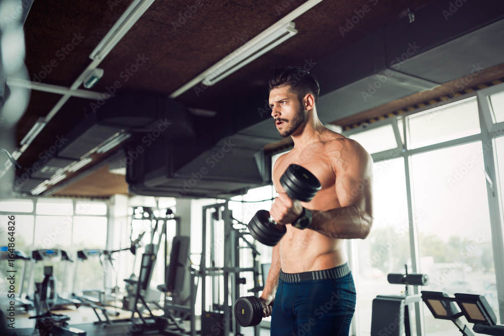 Muscular bodybuilder workout in gym doing biceps exercises Muscular bodybuilder workout in gym doing biceps exercises