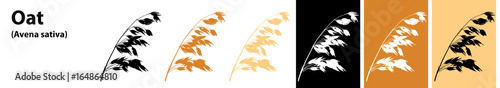 Oats vector different colors