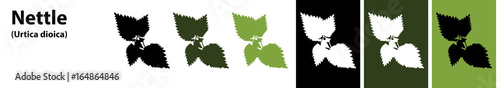 nettle leaves vector different colors