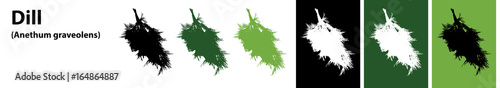 Dill leaves vector different colors