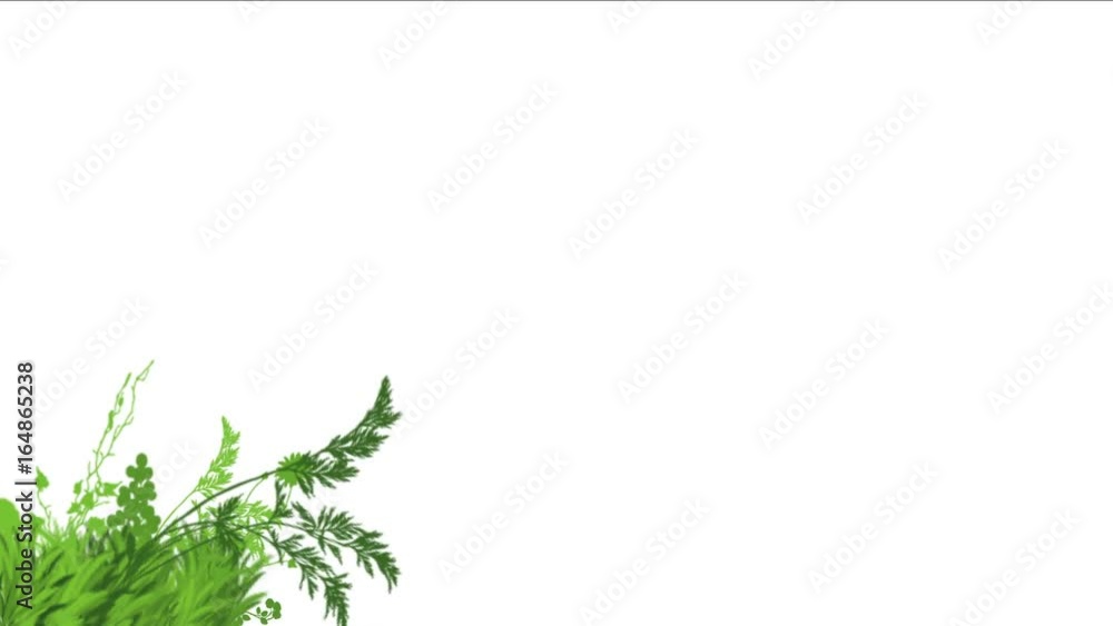 4k lush flower leaves crops shrubs bushes plant grass growing. 4k lush flower leaves crops shrubs bushes plant grass growing.