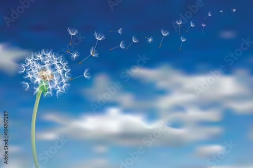 seeds in sky