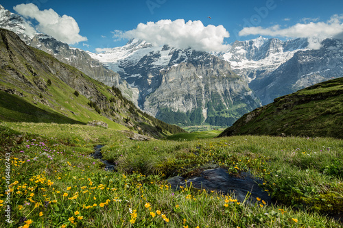 Randonnée dans les Alpes Bernoises