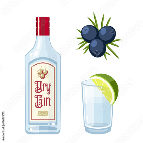 Set of dry gin bottle, tonic cocktail with lime, juniper berries. Vector illustration flat icon isolated on white.