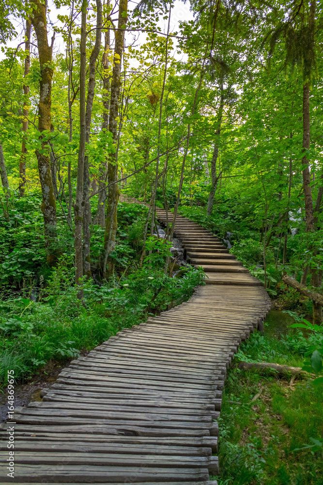 Obraz premium Wooden path on Plitvice lakes