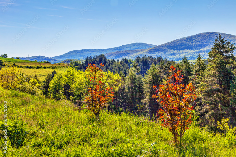 Slopes, hills and mountains around the monastery Sopocani, HDR Image.