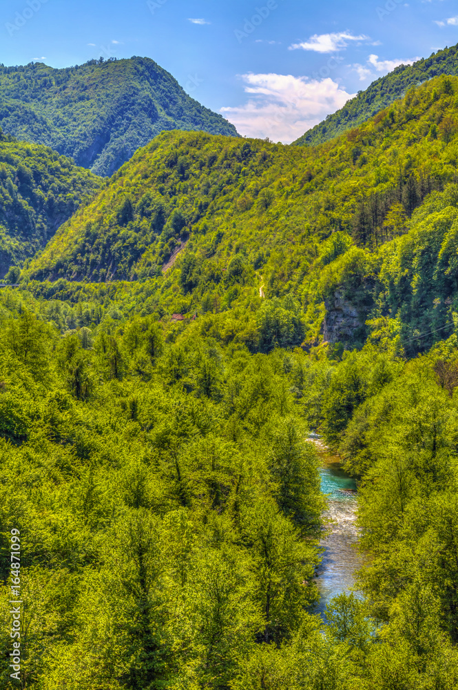 Wooded areas above the Milesevo River, HDR Image. Wooded areas above the Milesevo River, HDR Image.
