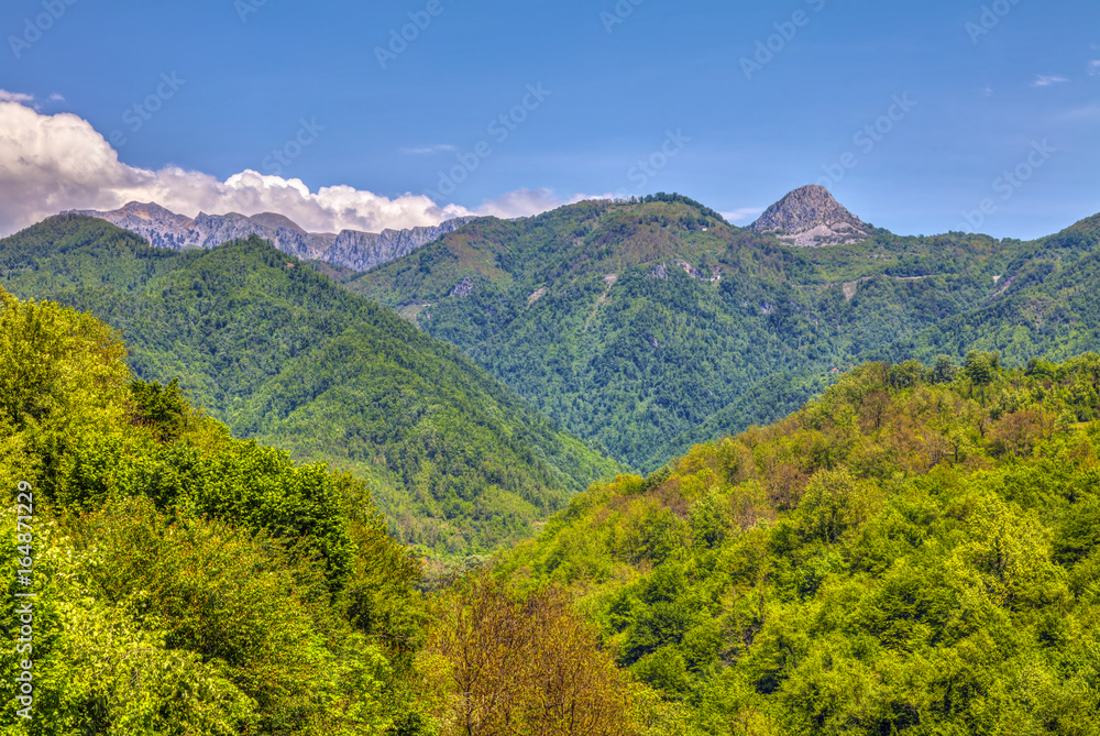 The wooded hills of Montenegro and mountains in the distance, HDR Image.
