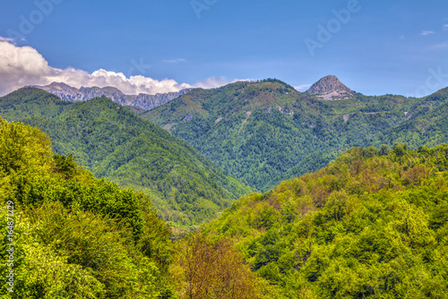 Obraz na płótnie The wooded hills of Montenegro and mountains in the distance, HDR Image. w salonie