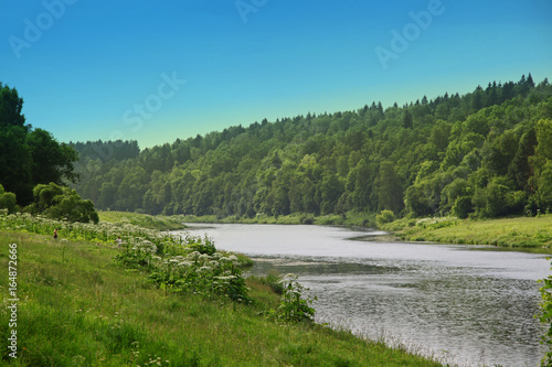 Summer landscape of the Moscow River in Polushkino