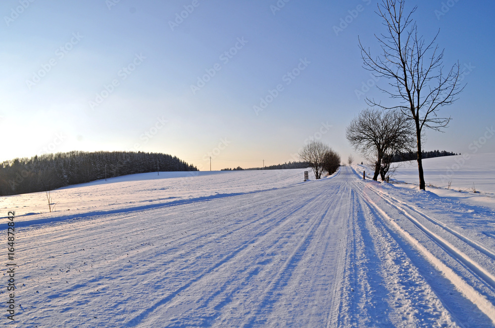Obraz premium Snow field