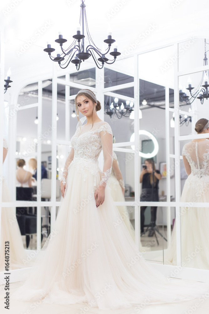Beautiful cute bride girl in tender wedding dress with classic festive hairstyle Beautiful cute bride girl in tender wedding dress with classic festive hairstyle