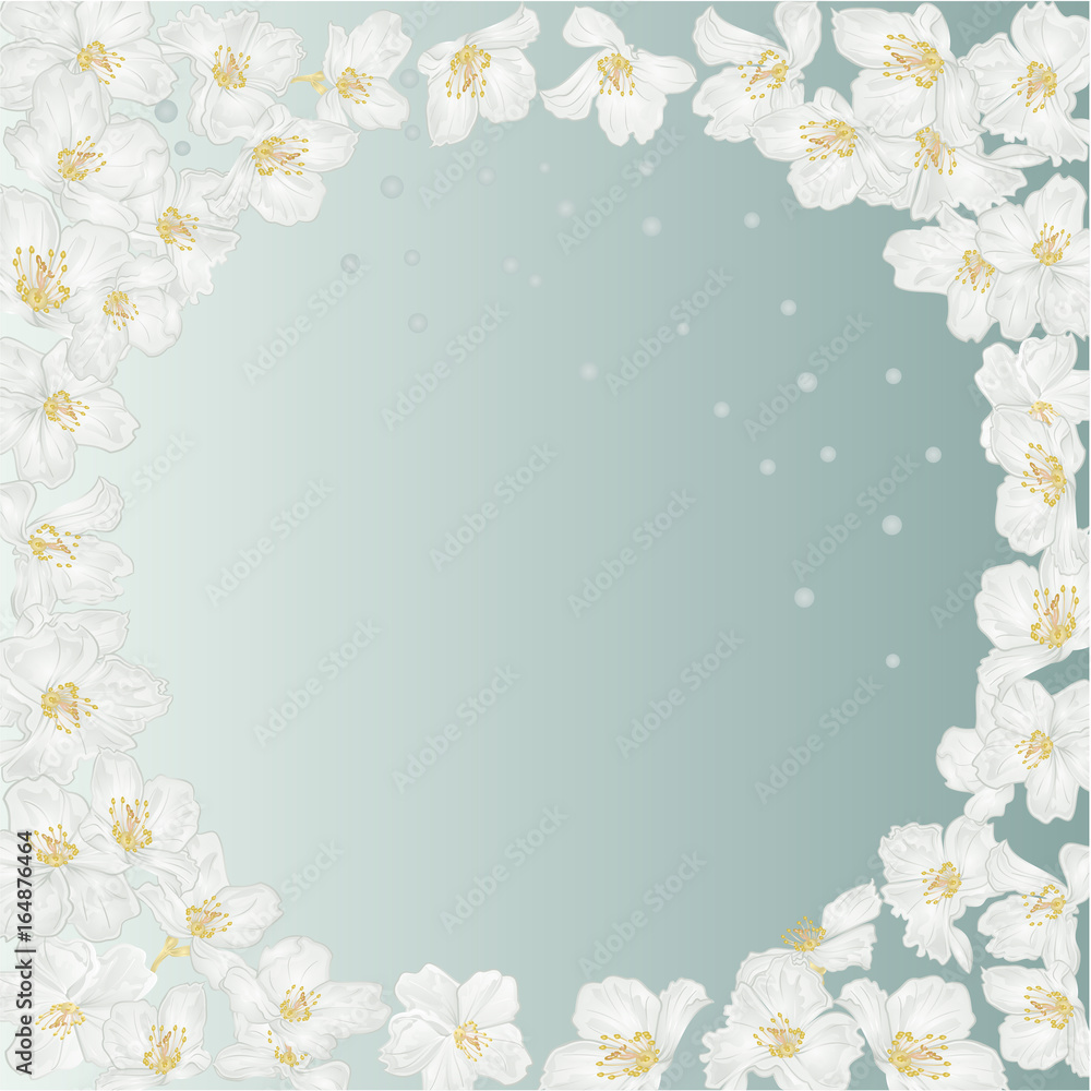 Frame spring blue background with blossoms jasmine  and  dewdrops vintage  vector botanical illustration  editable hand draw