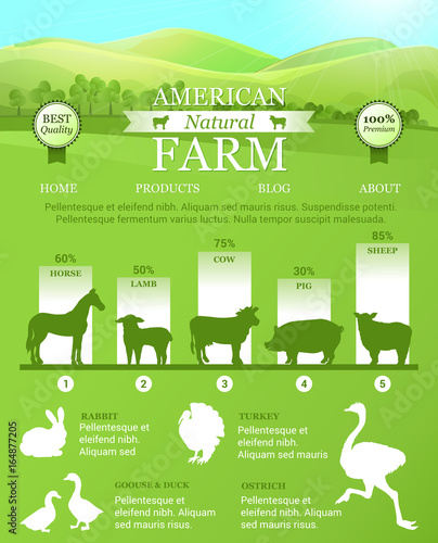 American Farm Infographic with bright landscape, farm animals silhouettes. Vector template for landing design, web page and advertising banners, business cards.