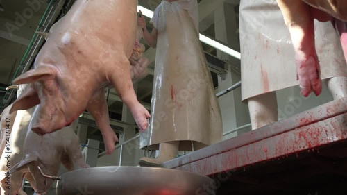 Workers prepare raw pork meat for delivery to stores
