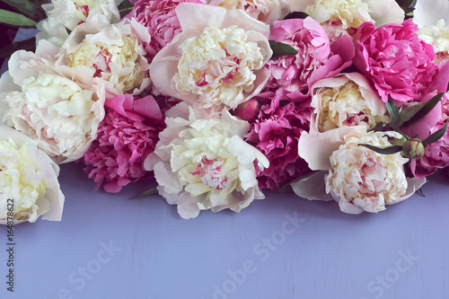 pink and white peonies on a purple background.