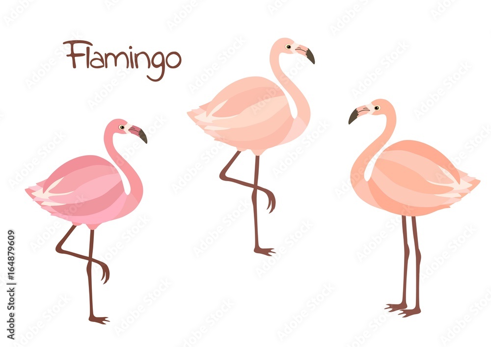 Fototapeta premium Cute flamingo birds