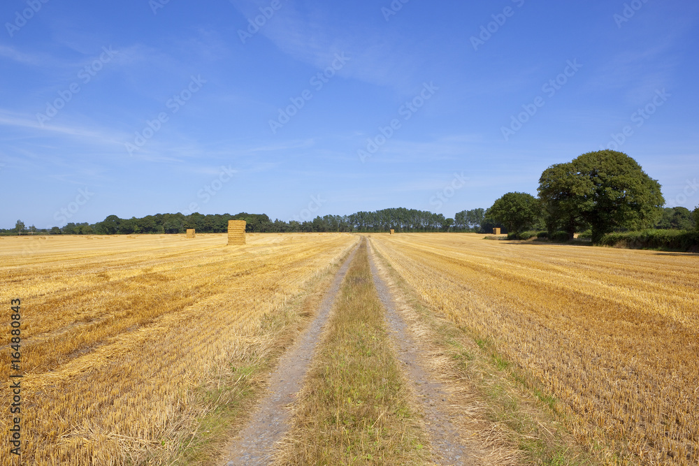 farm track and hay stacks