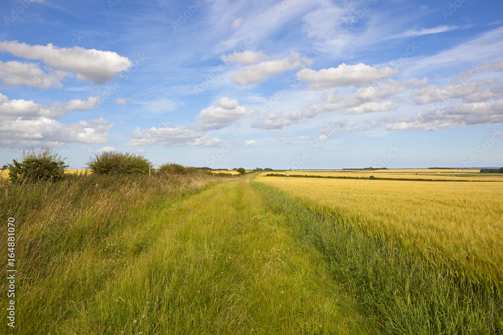 minster way bridleway