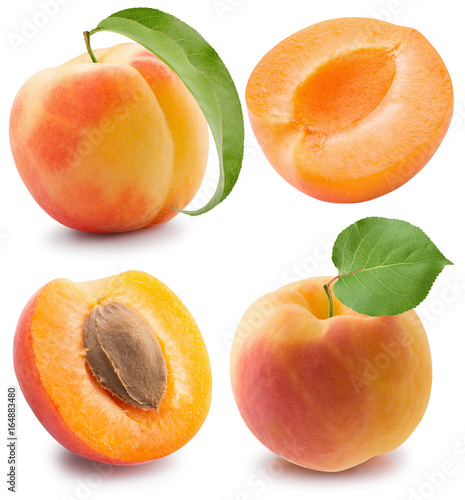 set of apricots isolated on a white background