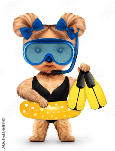 Funny animal in diving mask and swimming ring