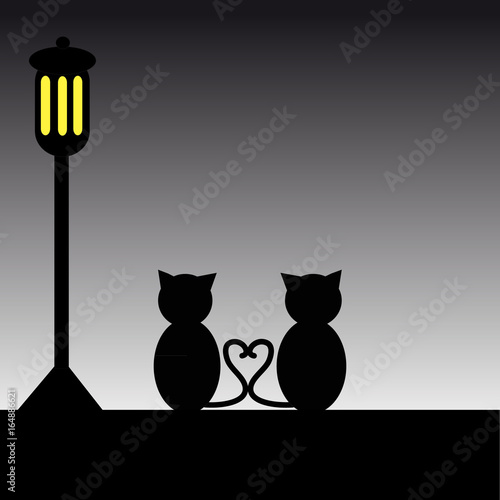 Cats with lapm in the night