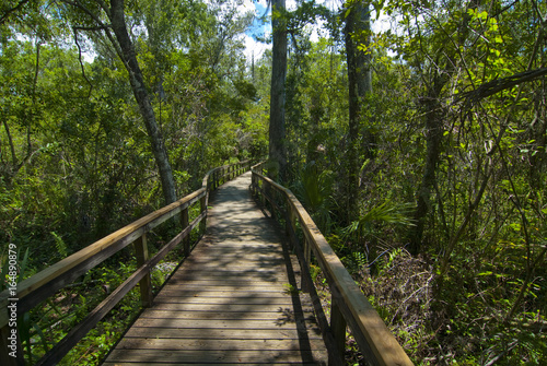 wooden walkway to Everglades 