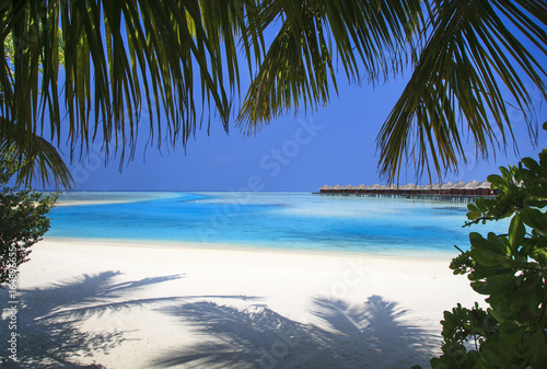 Beautiful view of the exotic resort, Maldives, palm trees, azure ocean, blue lagoon © evgenii