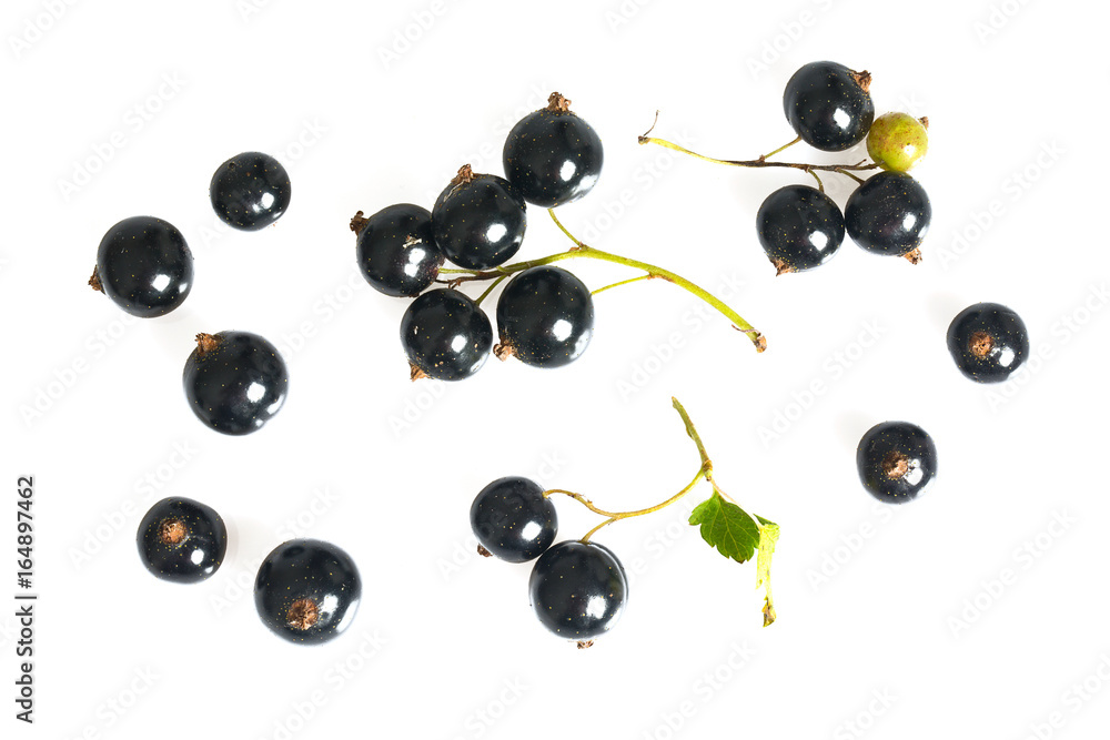 black currant isolated on white black currant isolated on white