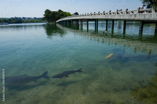 Wallpaper Mural Fukuoka Torontodigital.ca