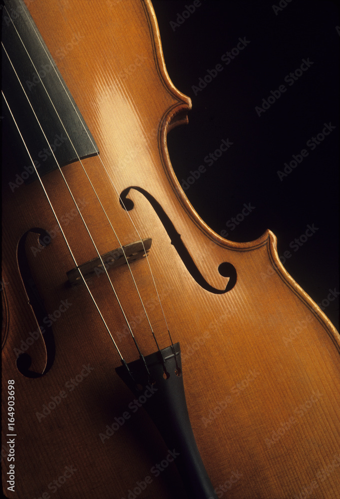 Close-up of a wooden violin