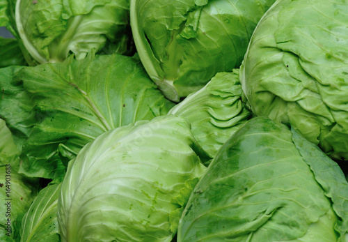 fresh cabbages selling at market