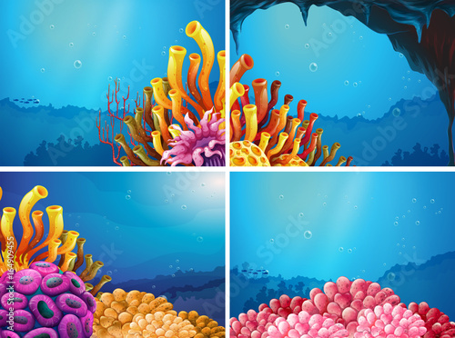 Four scenes under the ocean