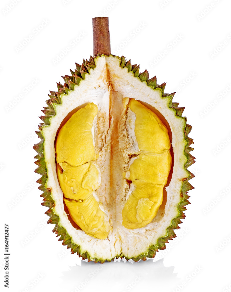 Fototapeta premium yellow durian in side Mon Thong durian fruit on white background