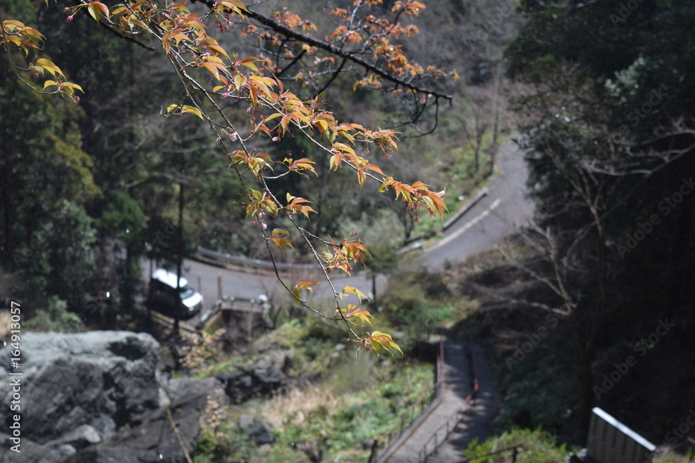 Naklejka premium 花