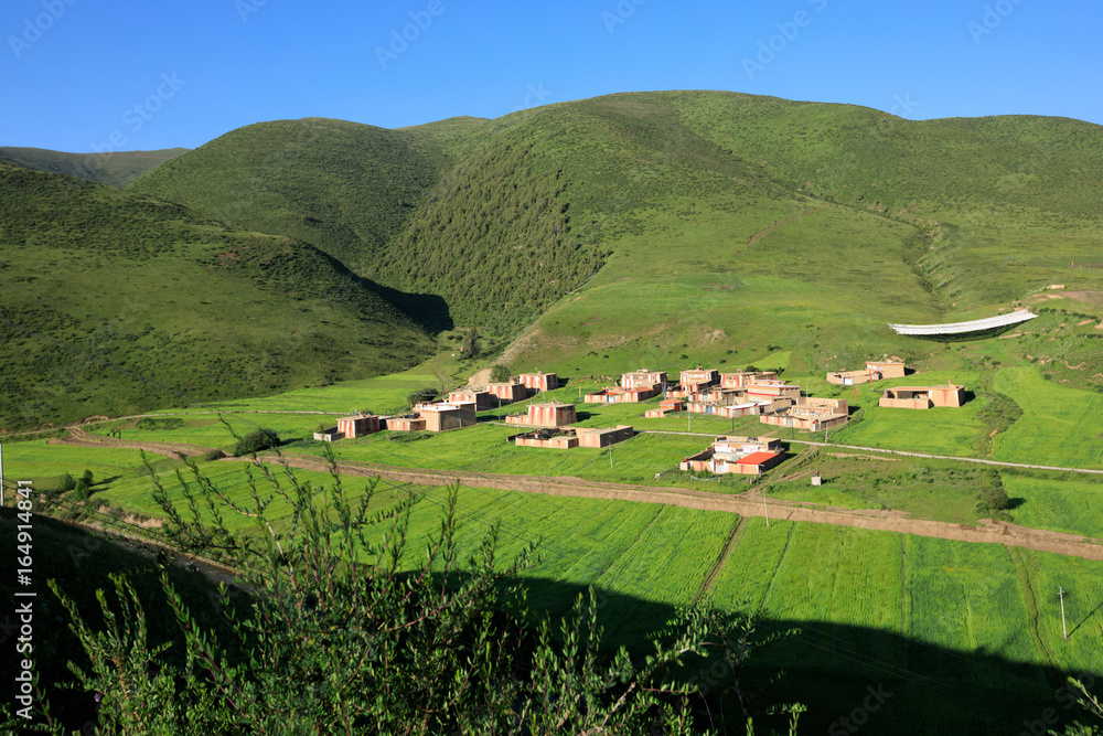 tibetan village landscape in tibet,china