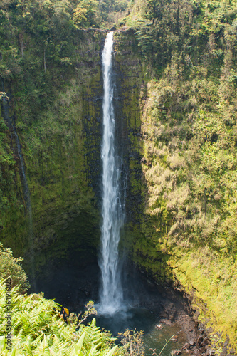 World Famous Akaka Fall of Hawaii