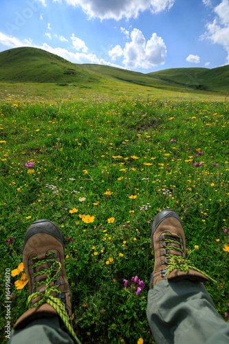 hiking legs rest on flowering grassland