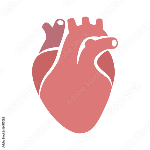 Human heart organ with aorta and arteries flat vector color icon for medical health apps and websites