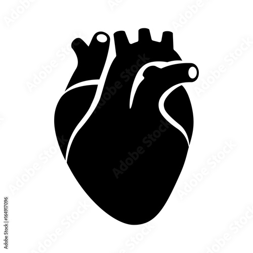 Human heart organ with aorta and arteries flat vector icon for medical health apps and websites