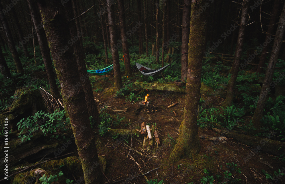Camping in the middle of forest Camping in the middle of forest