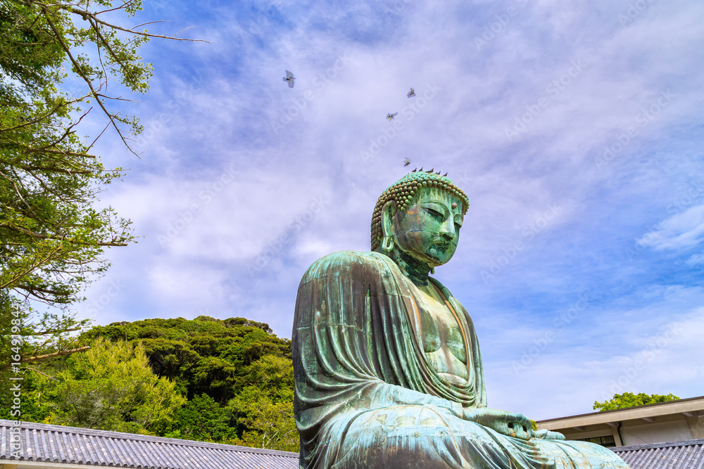 The Great Buddha in Kamakura Japan.There are pigeon to Buddha's head. Located in Kamakura, Kanagawa Prefecture Japan. The Great Buddha in Kamakura Japan.There are pigeon to Buddha's head. Located in Kamakura, Kanagawa Prefecture Japan.