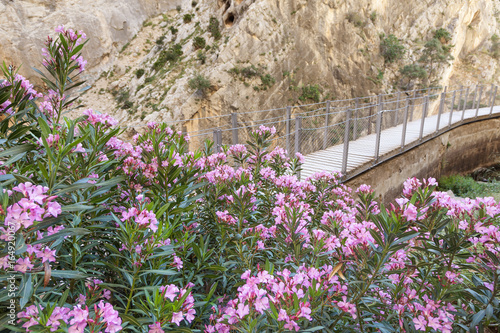 Hiking trail Caminito del Rey. Malaga province, Spain