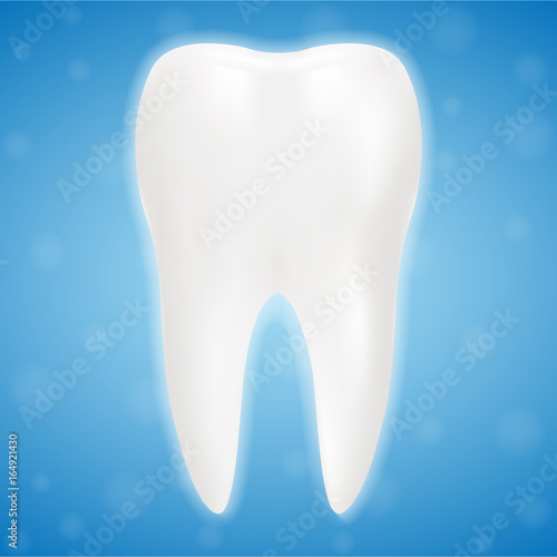 Clean And Glossy 3d Realistic Teeth Isolated On A Background. Realistic Vector Illustration. Healthcare stomatology and cleaning professional teeth illustration