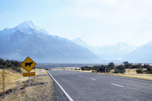 Cow road sign in New Zealand road with beautiful mountain renge background