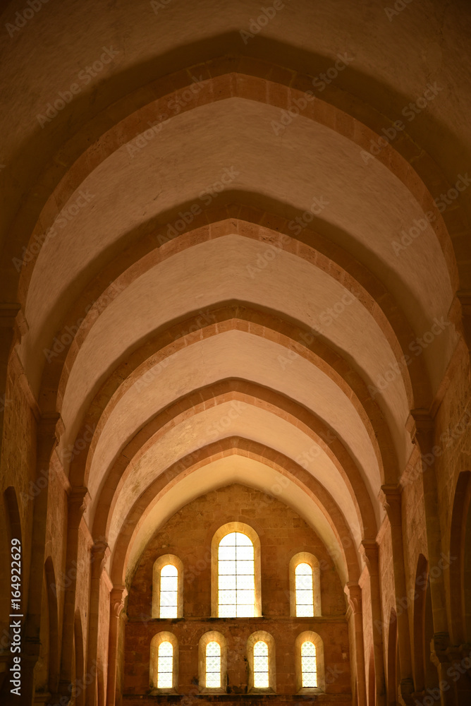 Voûtes de la nef de l'église cistercienne de Fontenay en Bourgogne, France