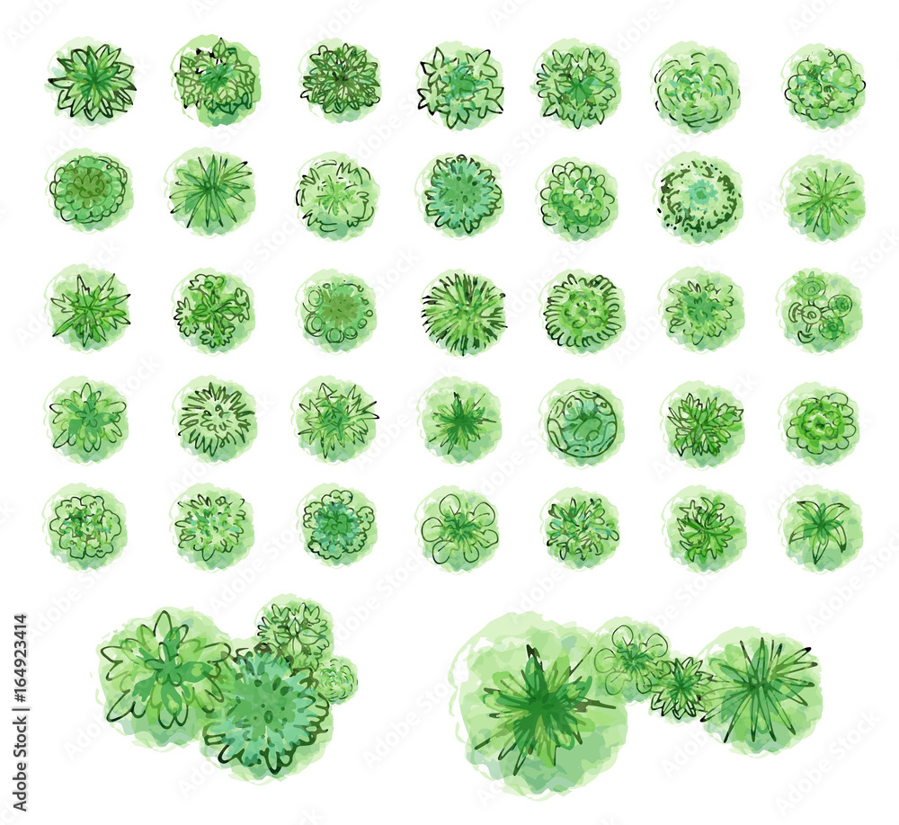 Various green trees, bushes and shrubs, top view for landscape design plan. Vector illustration, isolated on white background.