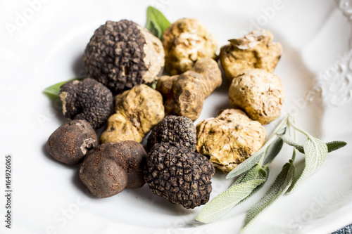 Group of delicacy white and black truffles photo