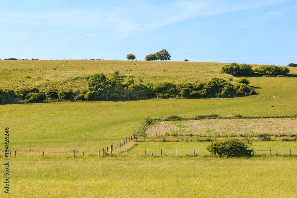 Obraz premium Farm Landscape